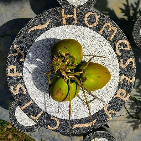 Crispycool Homestay Kuta  Exteriér fotografie
