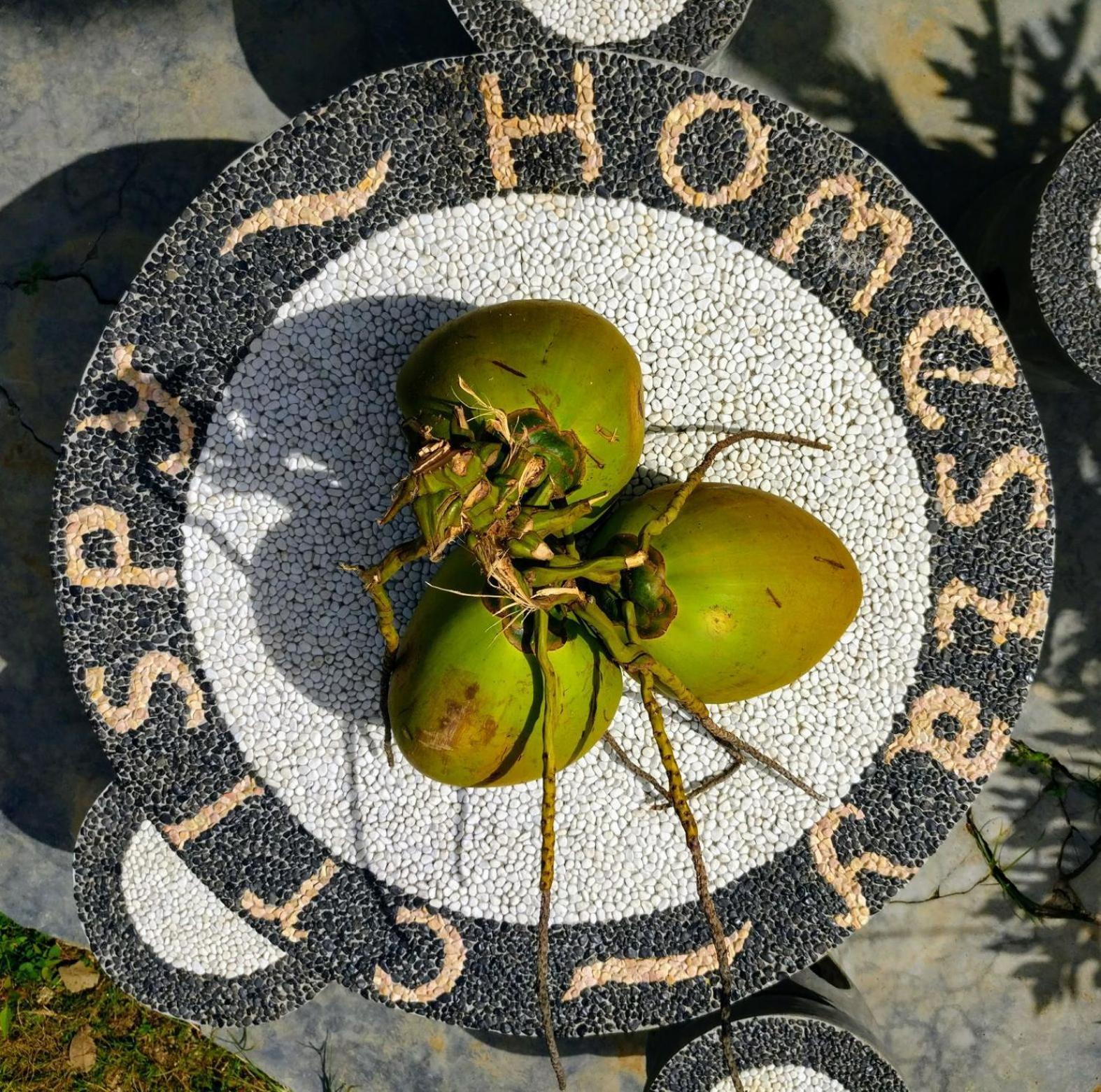 Crispycool Homestay Kuta  Exteriér fotografie